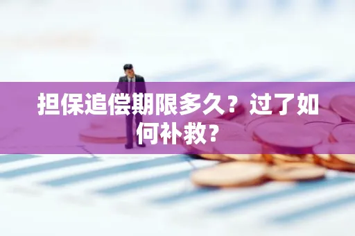 嘉兴担保追偿期限多久?过了如何补救?